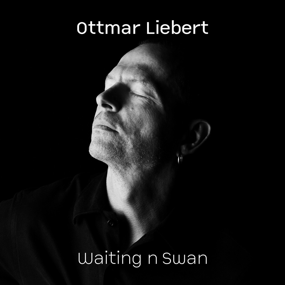 Ottmar Liebert - Waiting n Swan